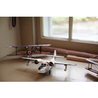 Patrica Aviation Room