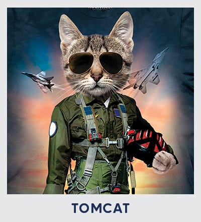 Tomcat